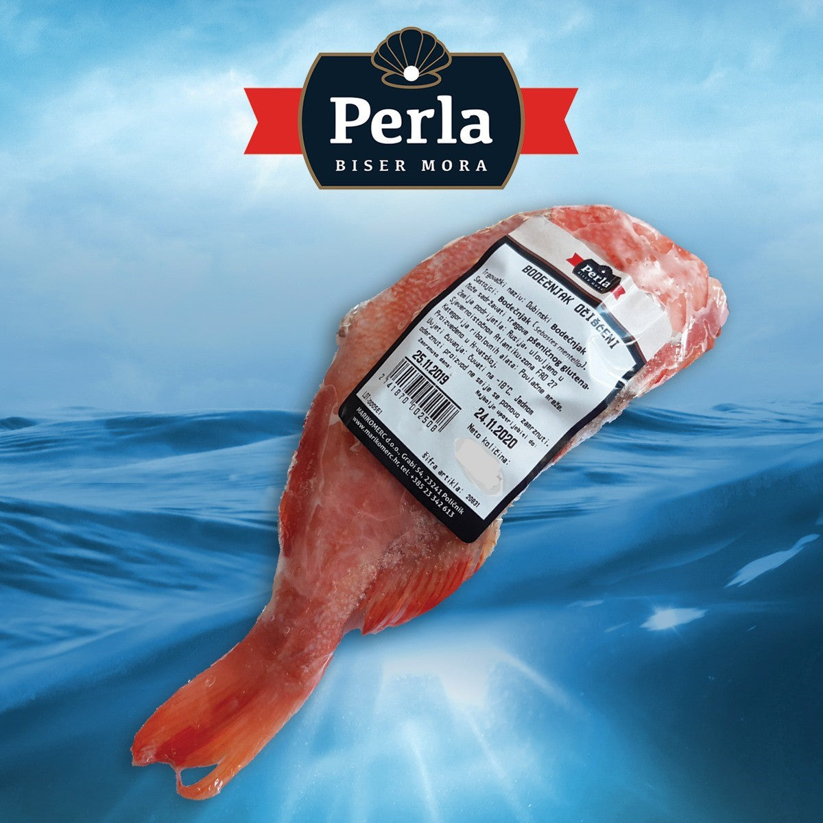 Perla Bodecnjak - Djuphavskungsfisk ~300g