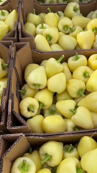 Marknad - paprika Somborka 1kg