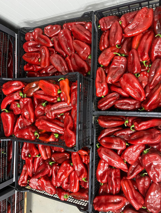 Marknad - röd paprika ca 9kg