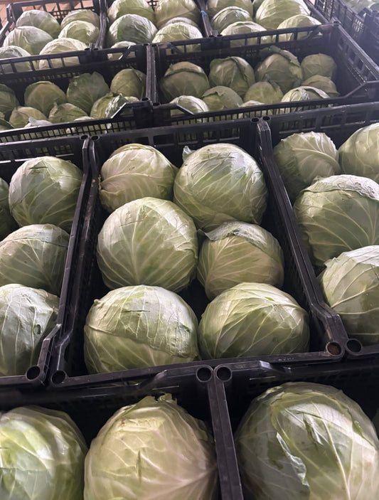 Marknad - vitkål Balkan ca 10kg